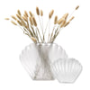 Sea Scallops Misted Glass Vase Set